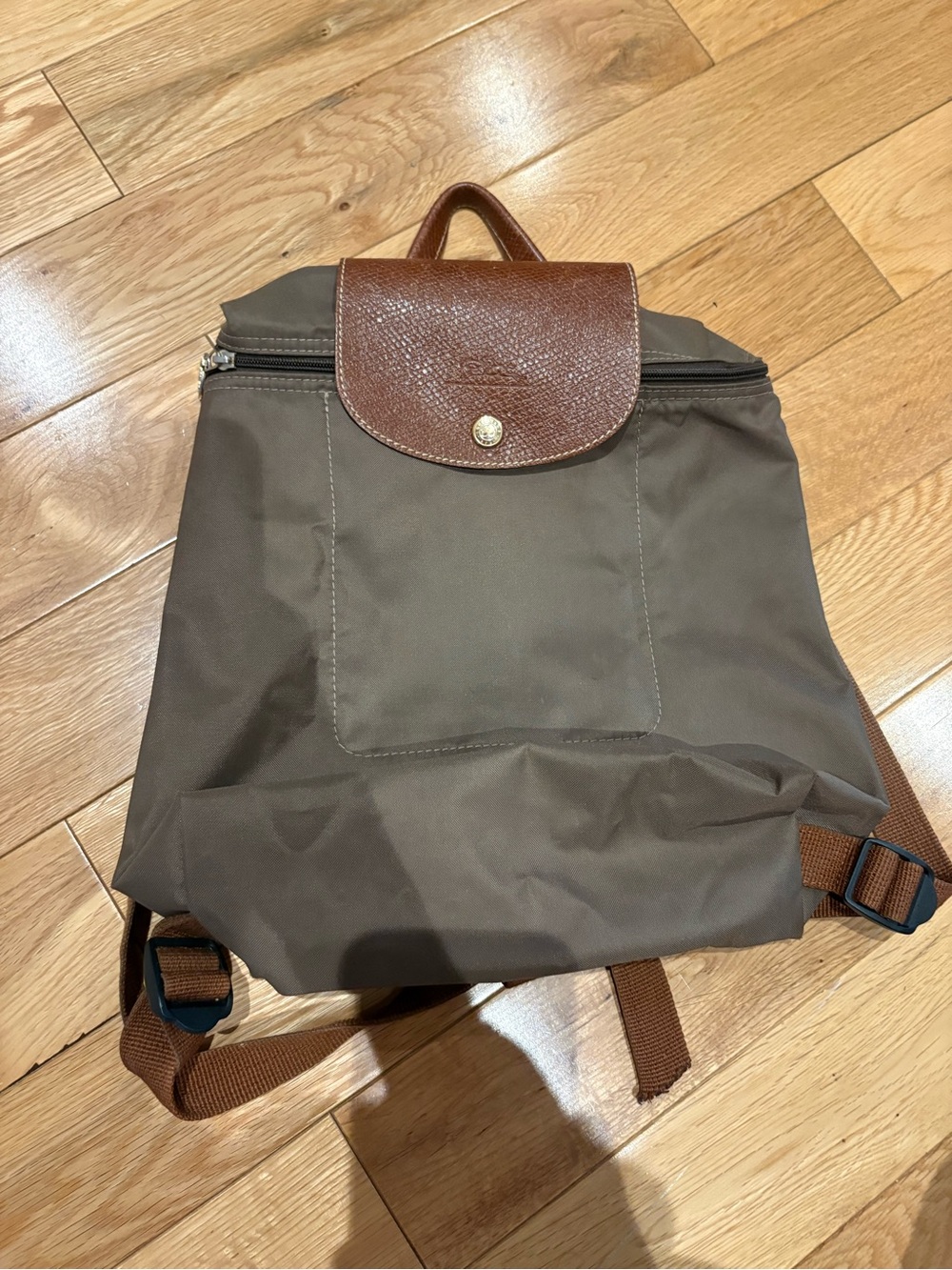 Longchamp Brown Green Nylon Backpack with Leather Flap -